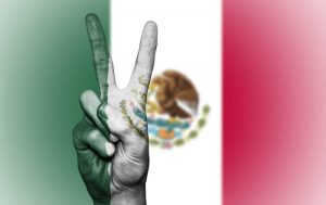 Mexico Supreme Court ends marijuana prohibition
