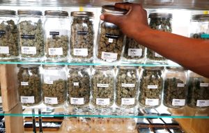 In this Oct. 2, 2018, file photo, a clerk reaches for a container of marijuana buds for a customer at Utopia Gardens, a medical marijuana dispensary in Detroit. Chronic pain is the most commonly cited reason people give when they enroll in state medical cannabis programs. A study published Monday, Feb. 4, 2019, in the journal Health Affairs looks at available data from states that allow marijuana for medical use. (AP Photo/Carlos Osorio, File)