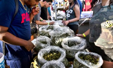 California Cannabis Revenue Won't Pay for Youth Programs... Yet