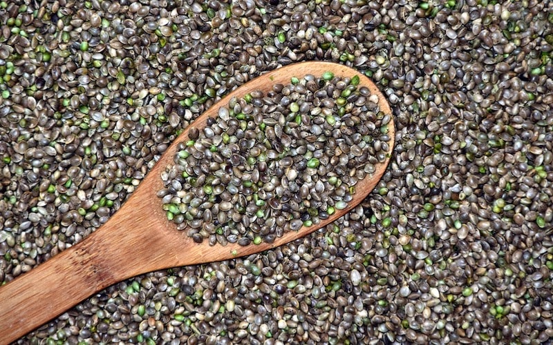 hemp seed-to-sale tracking