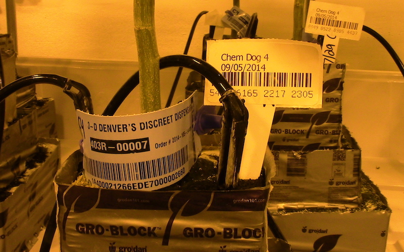 photo of How RFID Tags Affect the Environment image