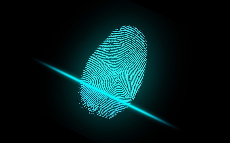 How Cannabis Companies Can Utilize Biometric Identification