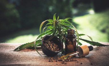 German Cannabis Market Projected To Reach $16B By 2028