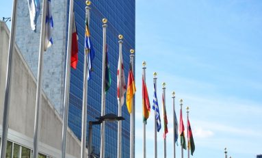 Will The United Nations Change Global Cannabis Policy In December?