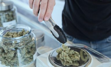 Jamaica To Allow Online Medical Cannabis Sales