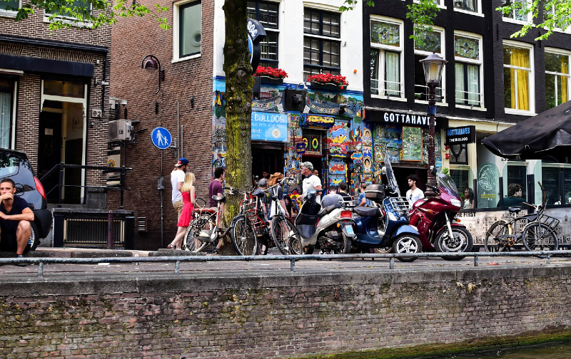 photo of Hopeful Cannabis Cultivators Look To Supply Dutch Coffee Shops image