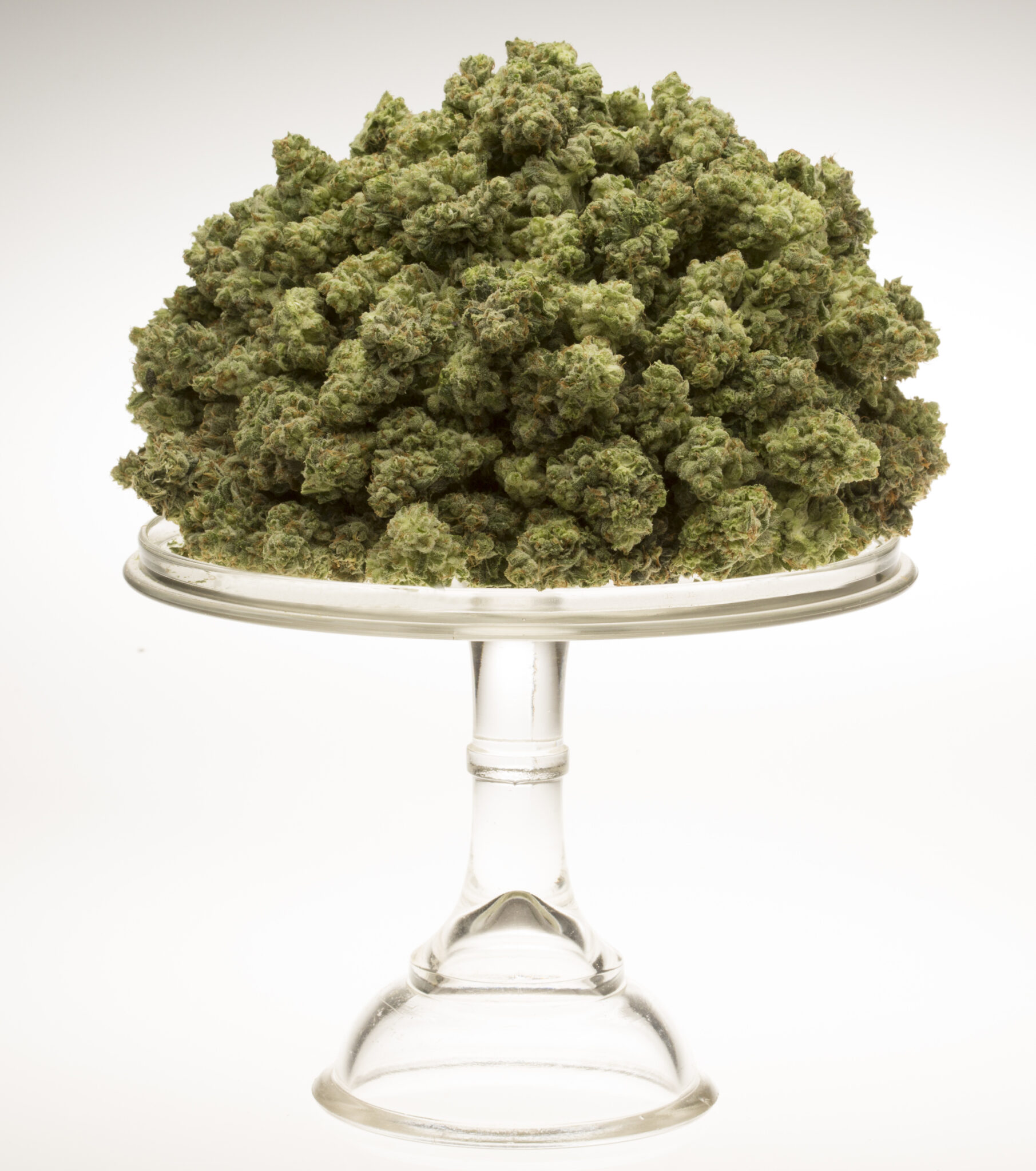 FreezeDried Buds Go From Stalk to Smoke in 24 Hours