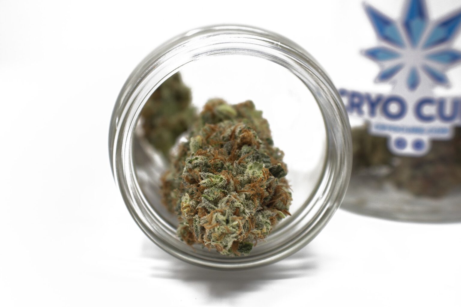 FreezeDried Buds Go From Stalk to Smoke in 24 Hours