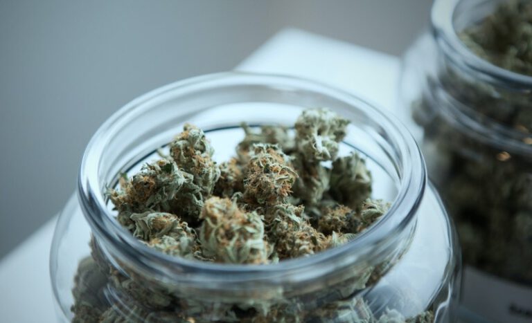 cannabis dispensary experts advice