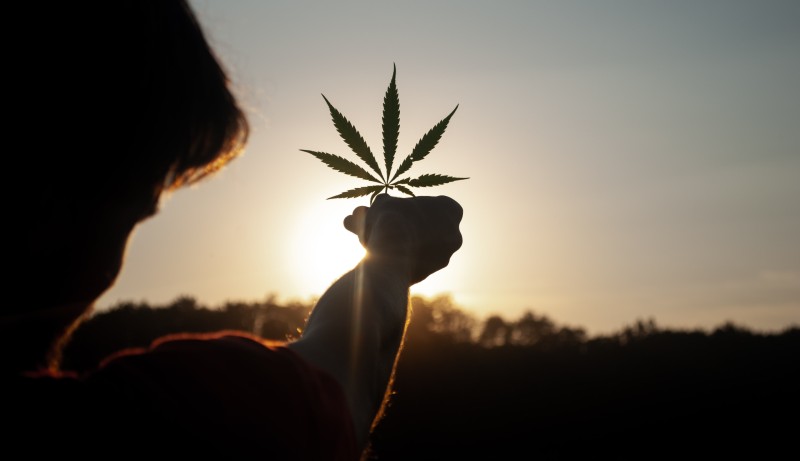 Breaking News: U.N. Removes Cannabis From Schedule IV Drug List