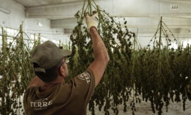Roll Up Life Inc. Combines Cannabis with Social Equity