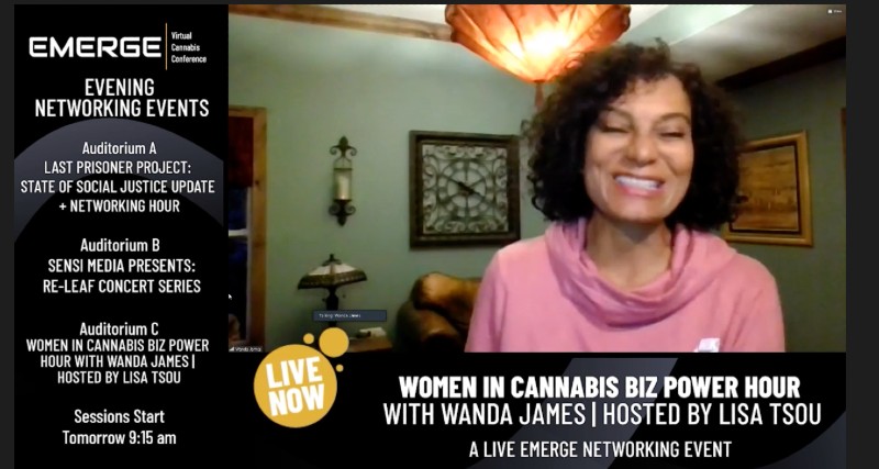 photo of Simply Pure CEO Wanda James Wants Women to Brag More image