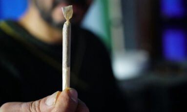 Florida Legislators Trying to Cap THC in Smokable Medical Marijuana 