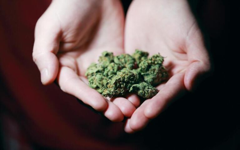 Virginia Legalization cannabis legal consumption