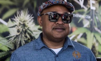 Ricardo Willis Becomes First African American CEO of a Cannabis Vaporizer Company