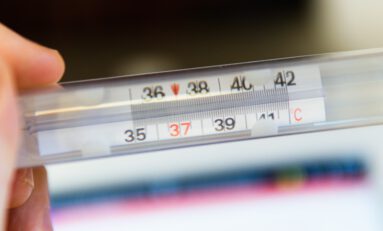Why is temperature control important to the cannabis industry?