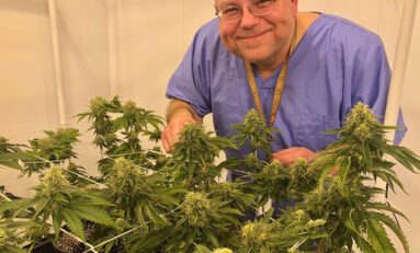After 30 Years, Chemdog Grows First Legal Crop