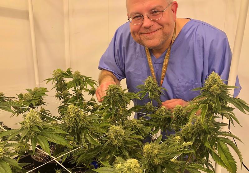 chem strain cannabis cultivation growing