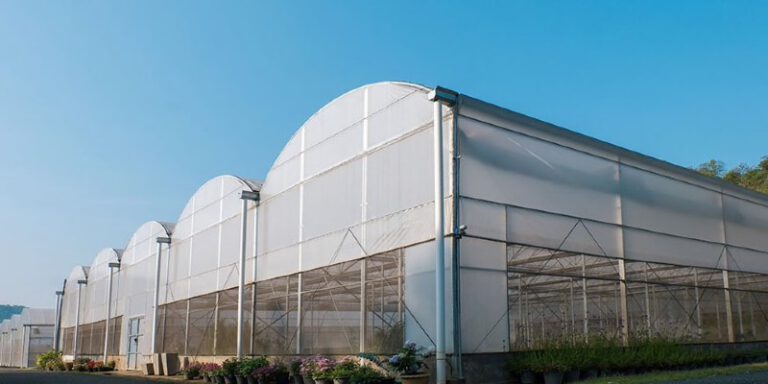 cannabis cultivation gas detection greenhouse health safety