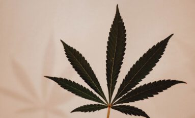 Quick Hits: All the Latest Cannabis Industry News