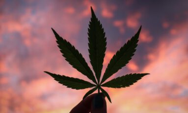 Quick Hits: Open Cannabis Consumption in Near Future