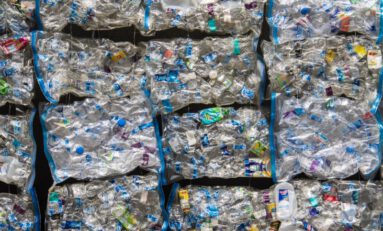 What No One Tells You About Hemp Bioplastics