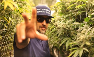 How to Transform Your Grow with B-Real's THC Controls
