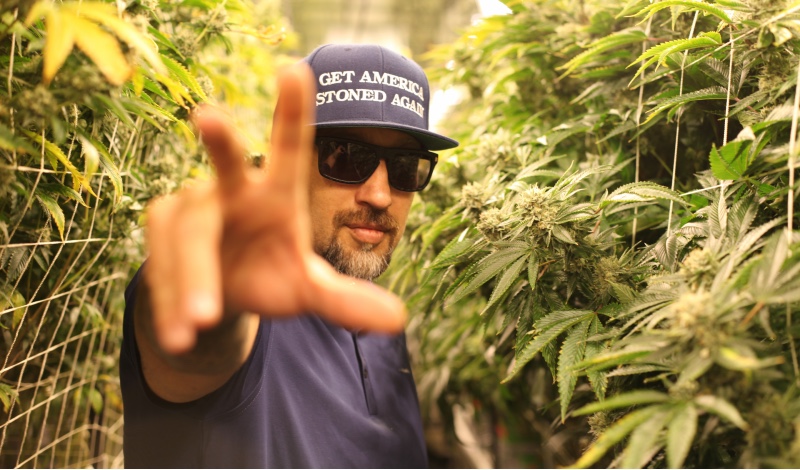 B Real cannabis cultivation grow technology