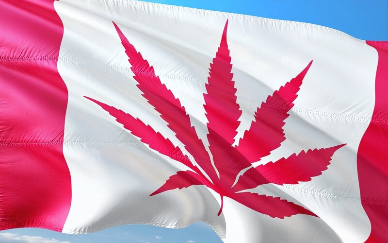 New Data Further Indicates Legalization Is Working in Canada