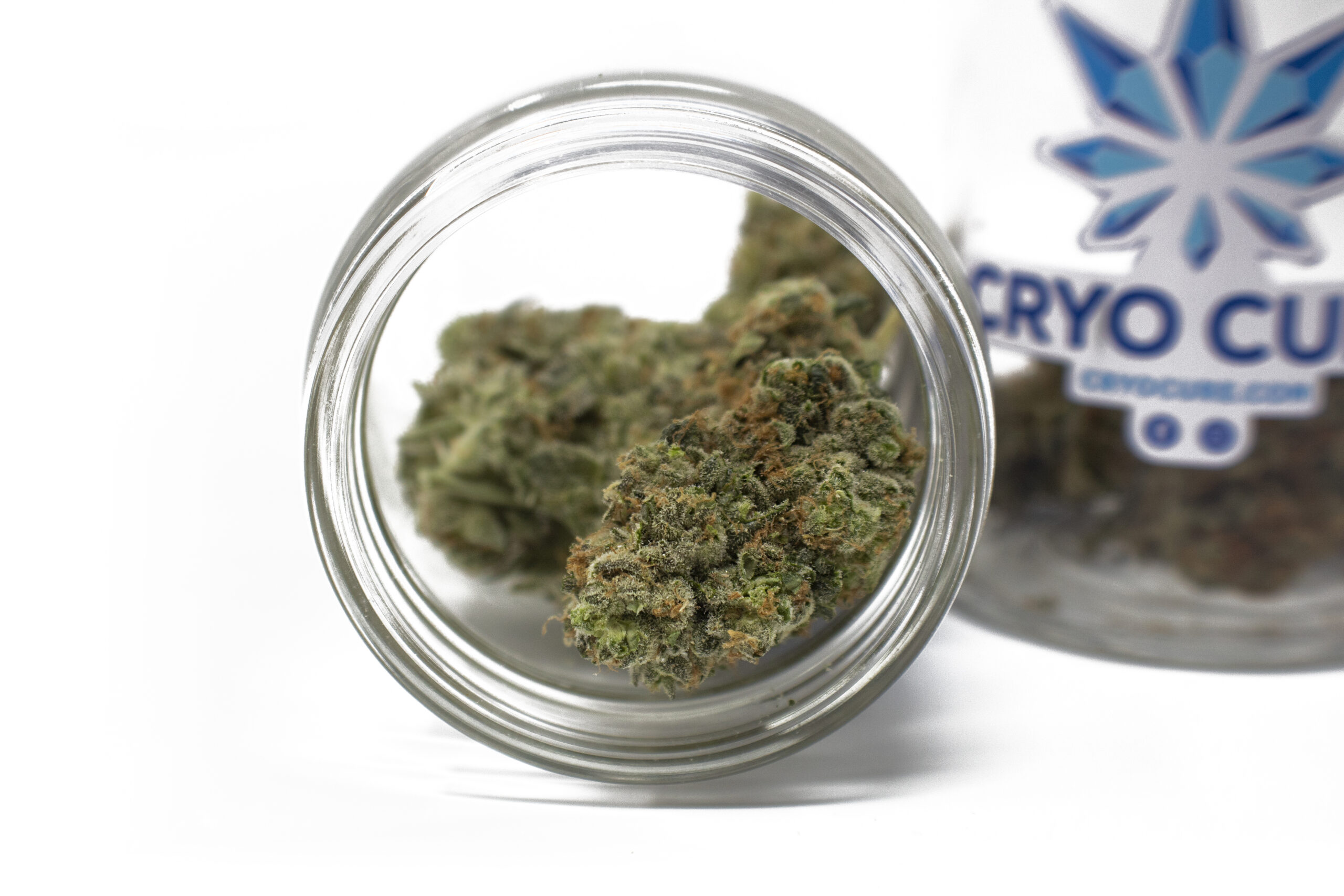 dried cannabis using cryo cure