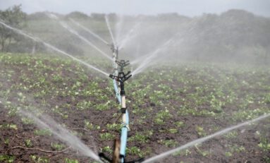 Can Automated Irrigation Help Achieve a More Sustainable Grow?