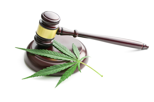 cannabis legalization italy