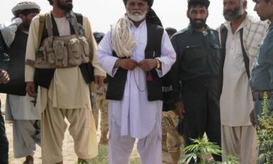 A Cannabis Company Wants to Make a $450 Million Deal With the Taliban