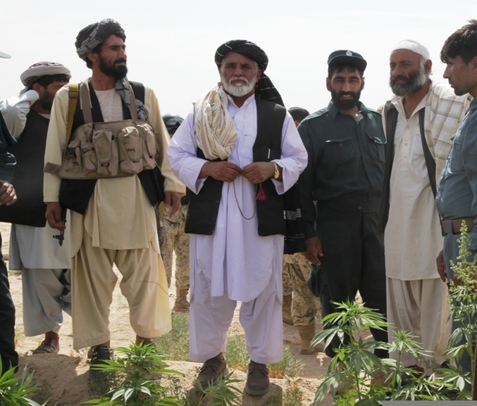 Afghanistan taliban cannabis Cpharm