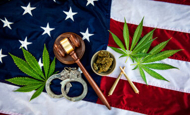 Is Cannabis Federally Legal Now? 