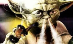 The Cannabis Connoisseur's Guide to Celebrating Star Wars Day