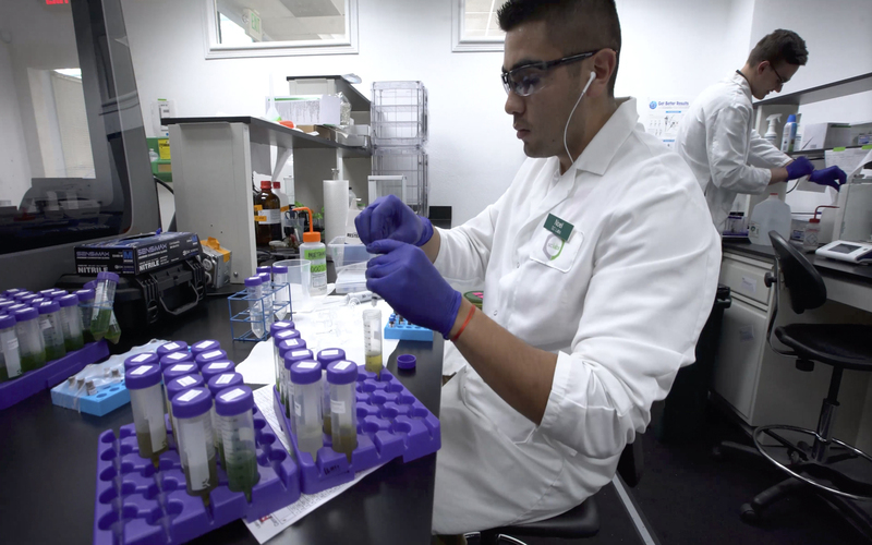 How One Company Created a New Standard for National CBD Testing