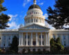 State License Deadlines Present Challenge For California Cannabis