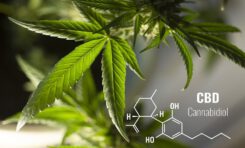 What's So Great About CBG, CBN, and Other Minor Cannabinoids?