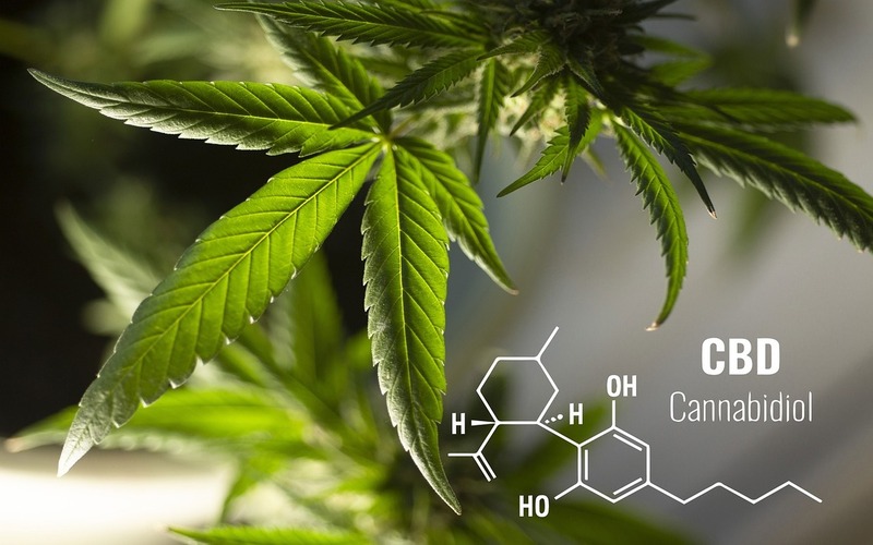 What’s So Great About CBG, CBN, and Other Minor Cannabinoids?