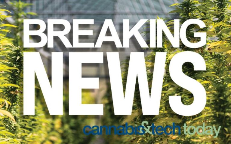 Breaking News graphic from Cannabis & Tech Today set in front of marijuana plants
