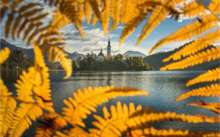 Slovenian castile and lake through yellow leaves