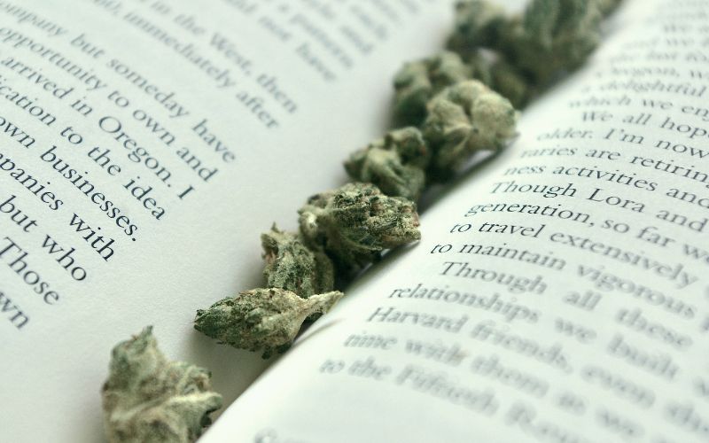 Cannabis buds in a book's spine