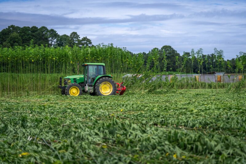 When Farms Become Factories