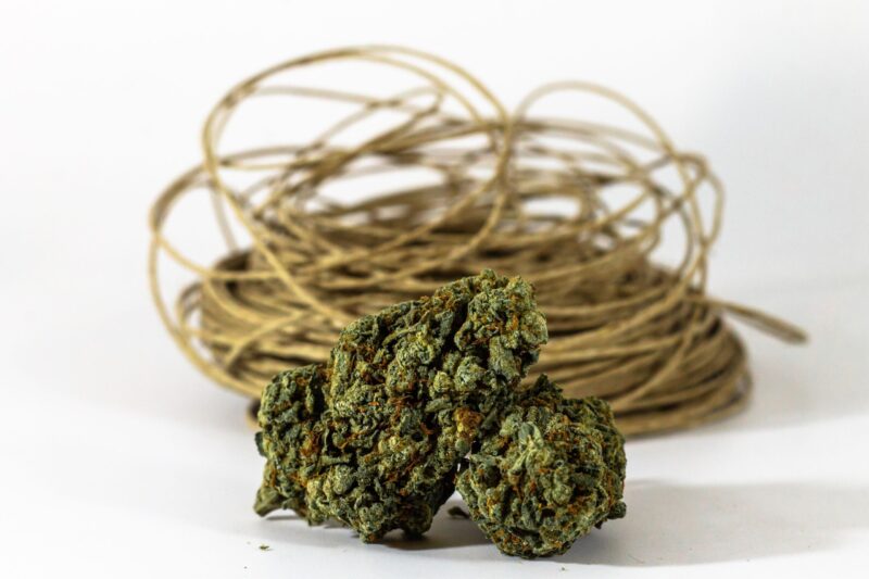 Beyond 0.3%: Why Hemp’s Future May Depend on Regulating Purpose Instead of THC